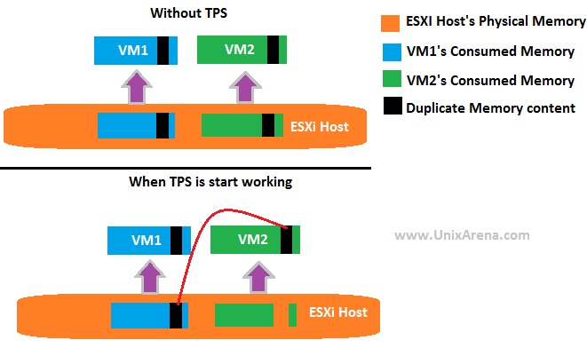 vmware player tpm support vmware player tpm support