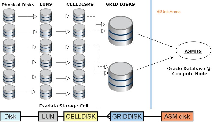 Exadata storage cell disks