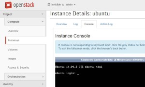 Instance Console