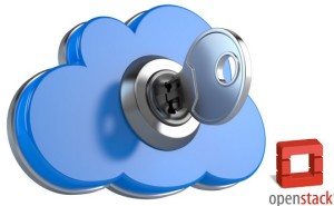 cloud private history