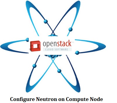 Configure Neutron on Compute Node