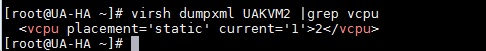 KVM Guest vCPU Limits