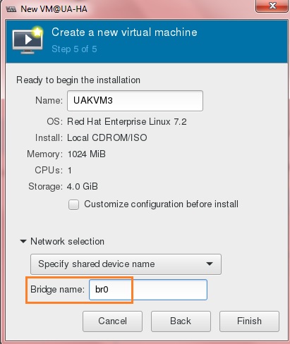Enter the VM name and specify bridge