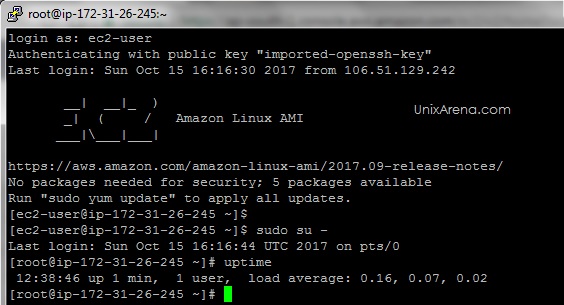 AWS instance Up & running