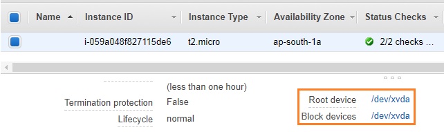 Instance Volume Block Device Name