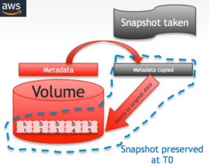 Snapshot AWS volume