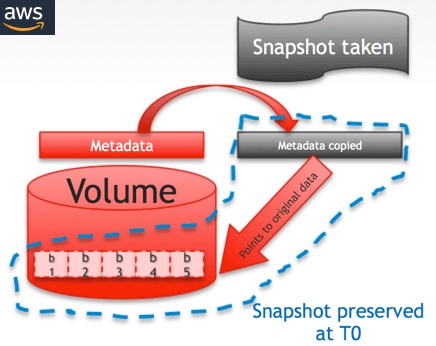 Snapshot AWS volume