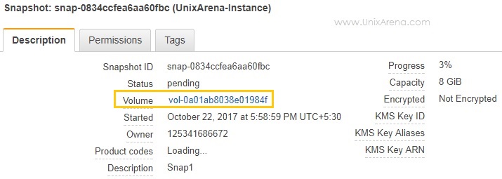 Snapshot Information - Volume