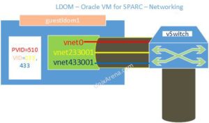 LDOM oracle VM for SPARC - Networking PVID VID