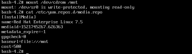 mount the DVD and configure REPO