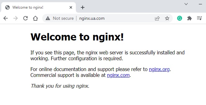 nginx welcome page - Ingress Traefik