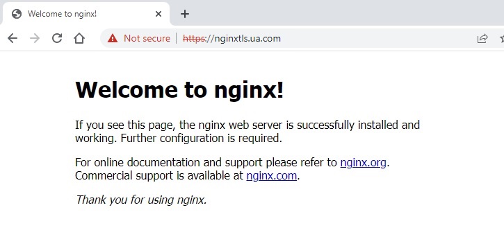 nginx welcome page - TLS