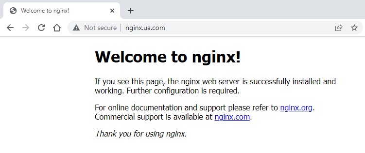 nginx welcome page - basicAuth