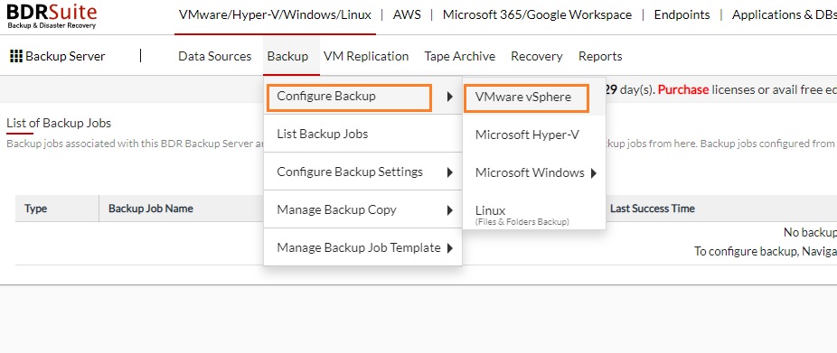 Configure Backup - VMware VSphere