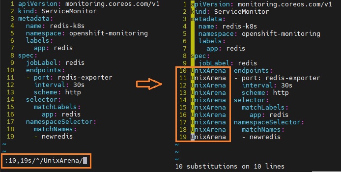 Inserted text beginning of specific lines - vi editor