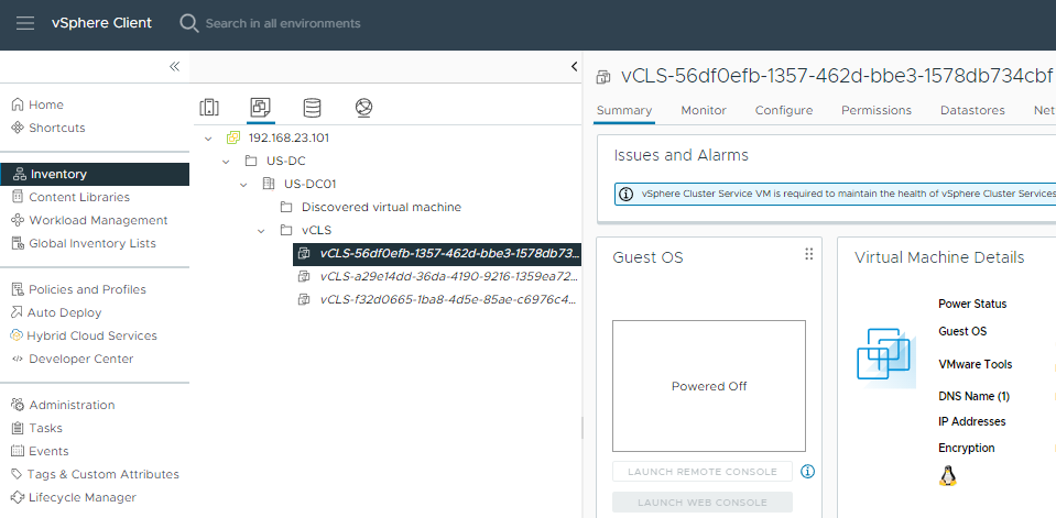 vCLS VM's state